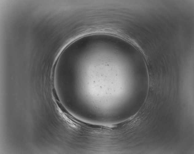 X0000056341532200508291302