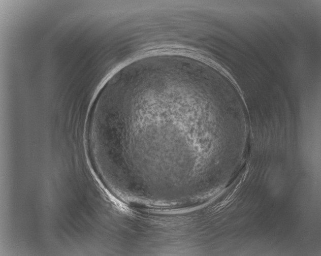 X0000056341533200508291302