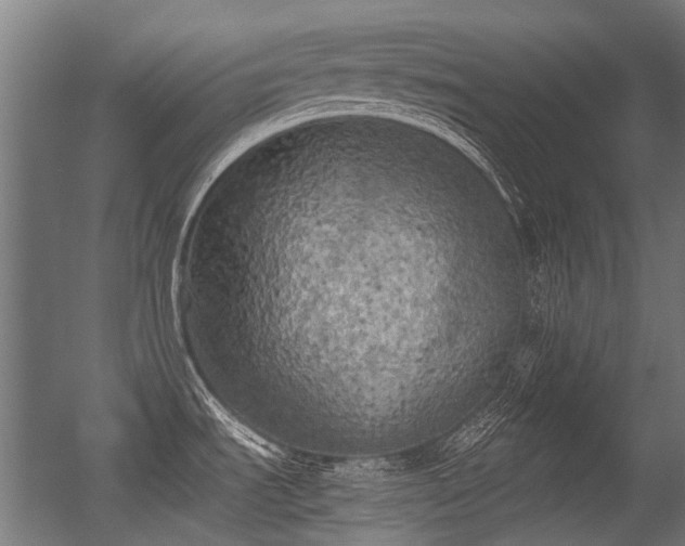 X0000056341535200508291302