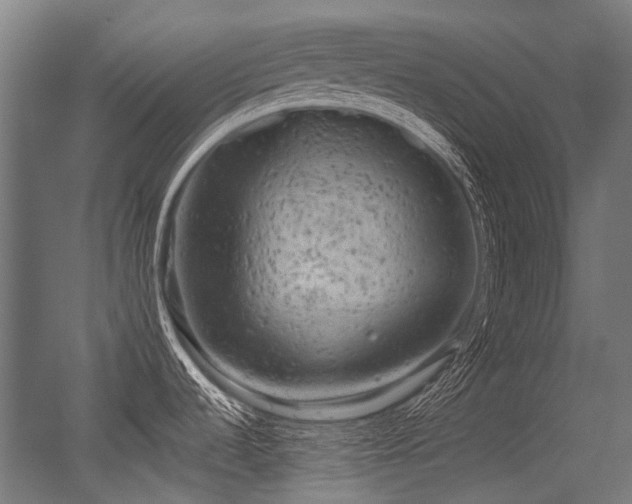 X0000056341536200508291302