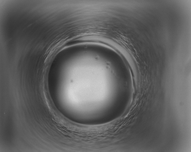 X0000056340001200509021708