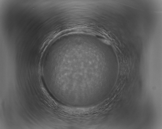 X0000056340002200509021708