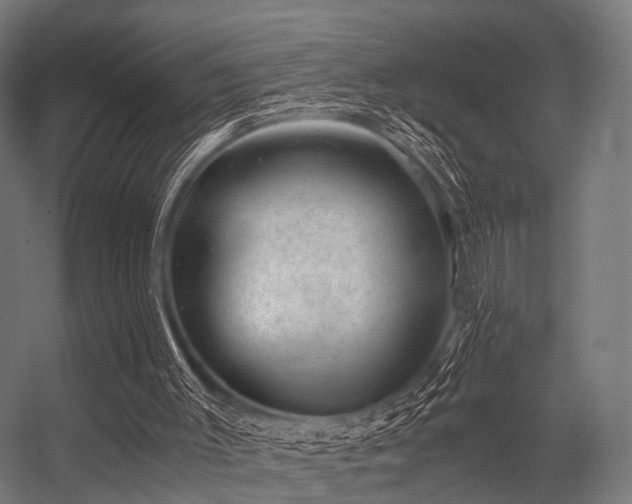 X0000056340003200509021708