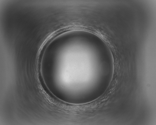 X0000056340007200509021708