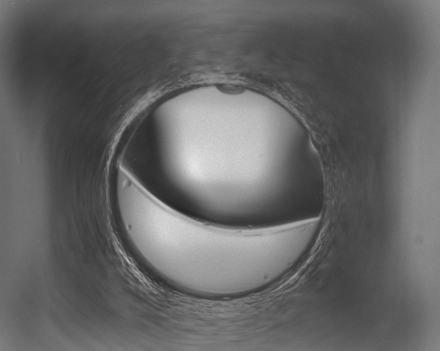 X0000056340008200509021708