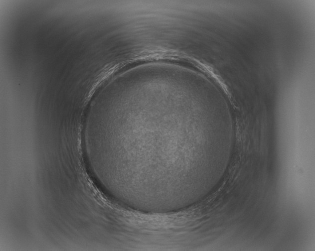 X0000056340010200509021708