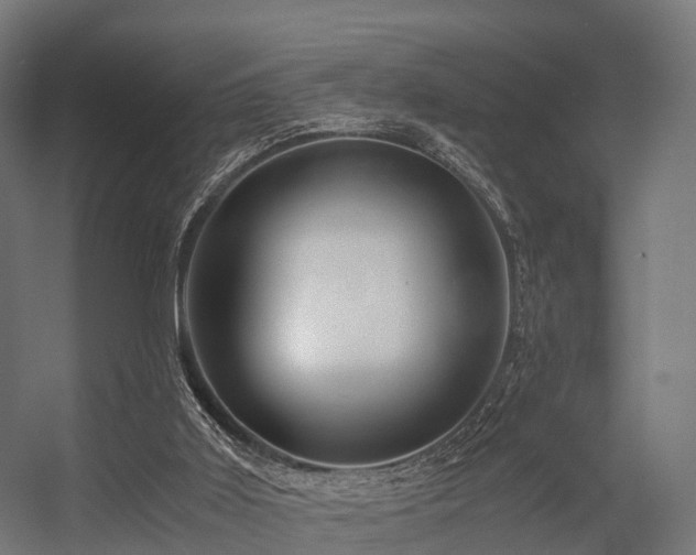 X0000056340011200509021707