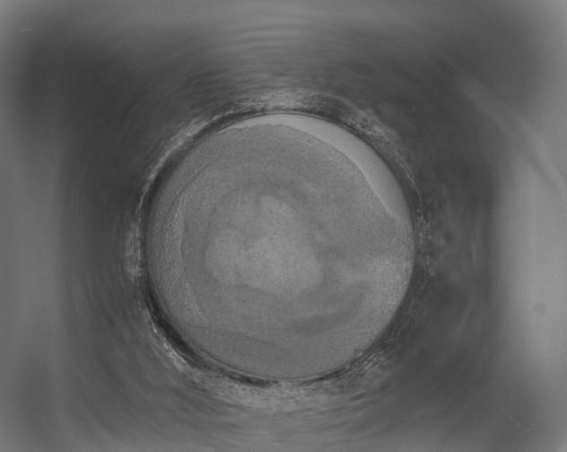 X0000056340012200509021707