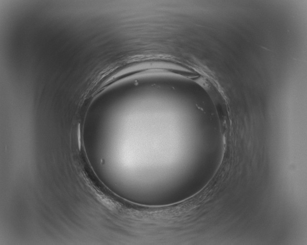 X0000056340013200509021707