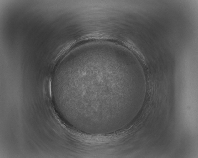 X0000056340014200509021707