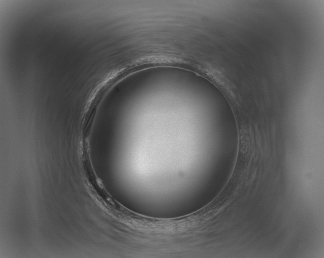 X0000056340015200509021707