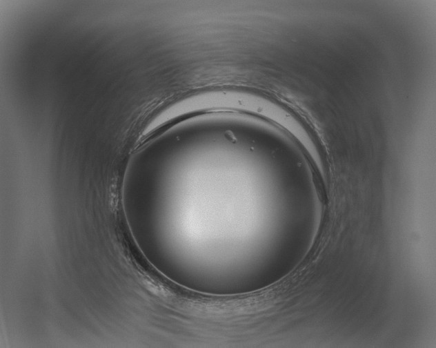 X0000056340017200509021707