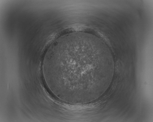 X0000056340018200509021707