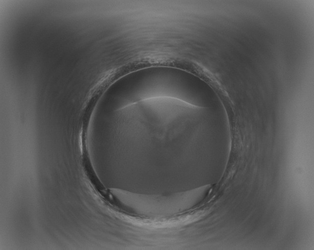 X0000056340019200509021707