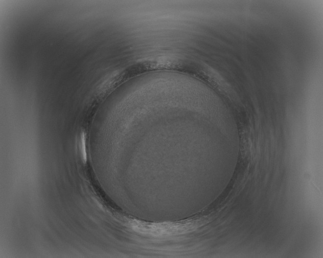 X0000056340022200509021707