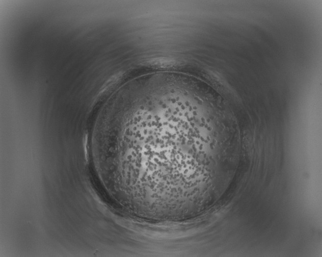 X0000056340024200509021707