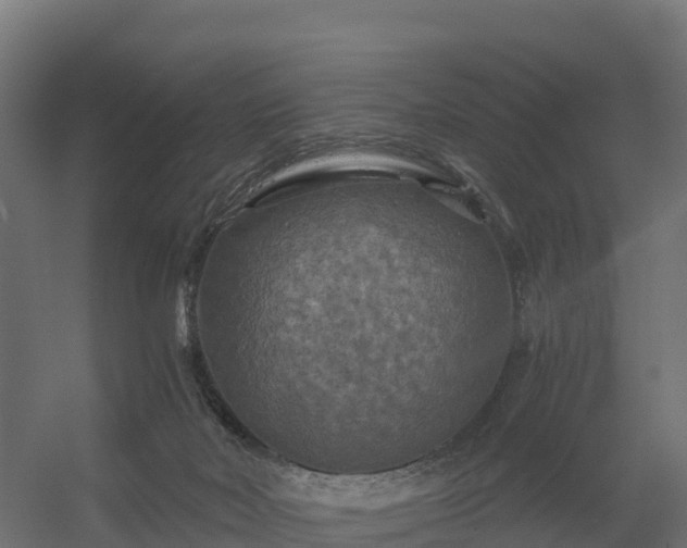 X0000056340026200509021707