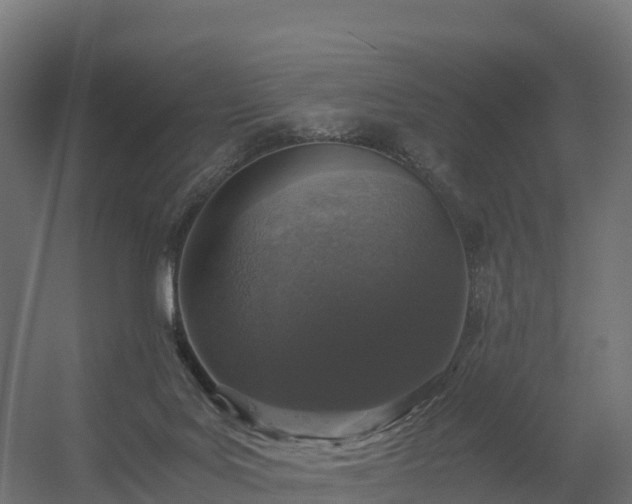 X0000056340027200509021707