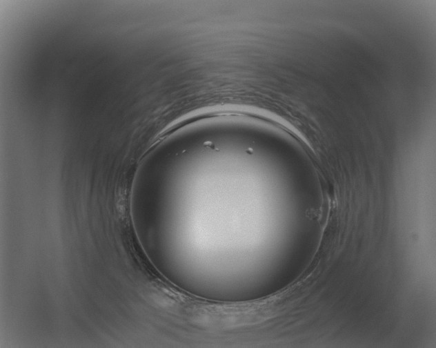 X0000056340033200509021707
