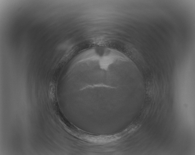 X0000056340036200509021707