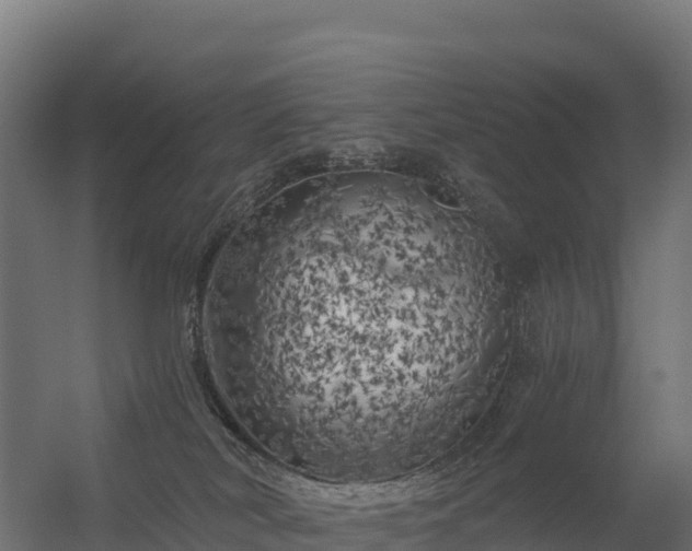 X0000056340038200509021707