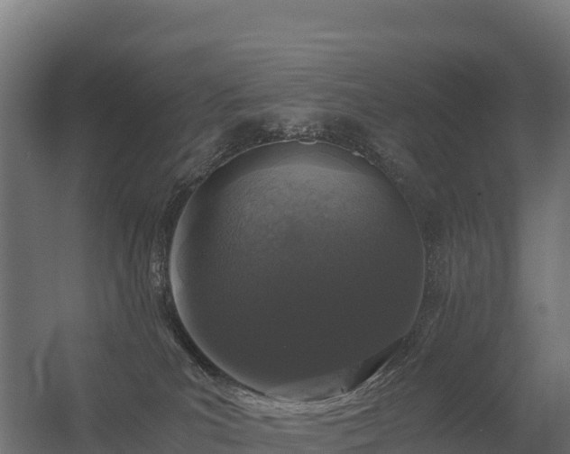 X0000056340039200509021707