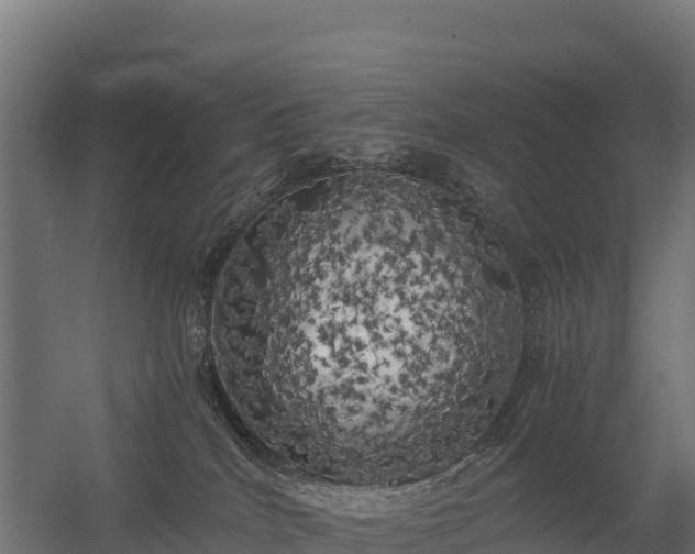 X0000056340040200509021707