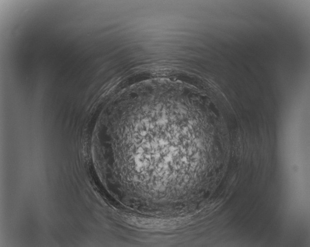 X0000056340044200509021707