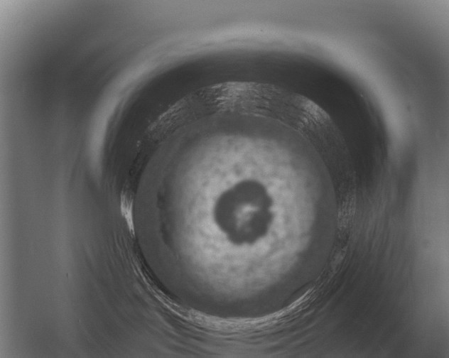 X0000056340047200509021707