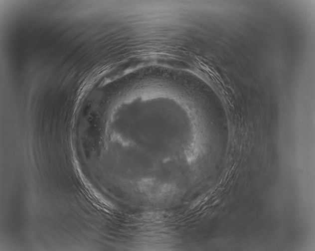 X0000056340049200509021706