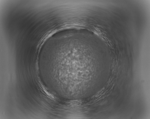 X0000056340050200509021706