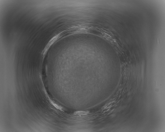 X0000056340051200509021706