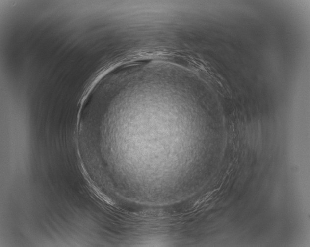 X0000056340052200509021706