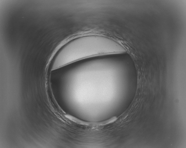 X0000056340056200509021706