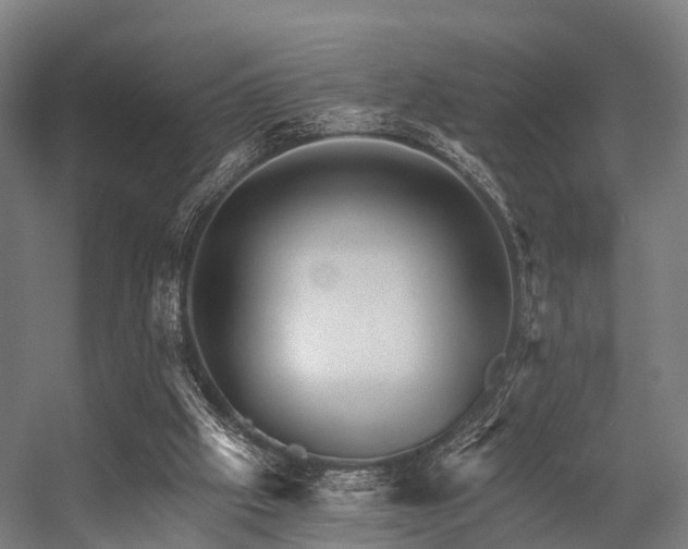 X0000056340057200509021706