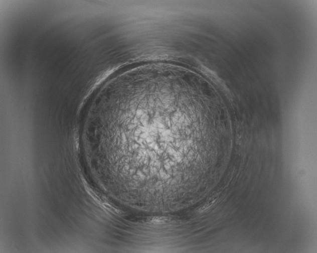 X0000056340060200509021706