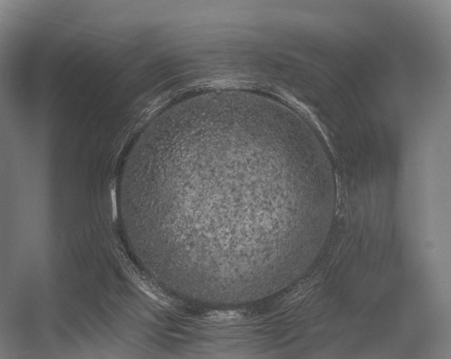 X0000056340061200509021706