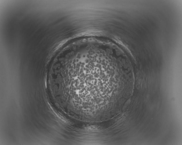 X0000056340062200509021706