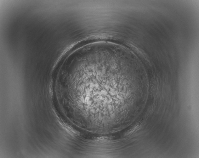 X0000056340064200509021706