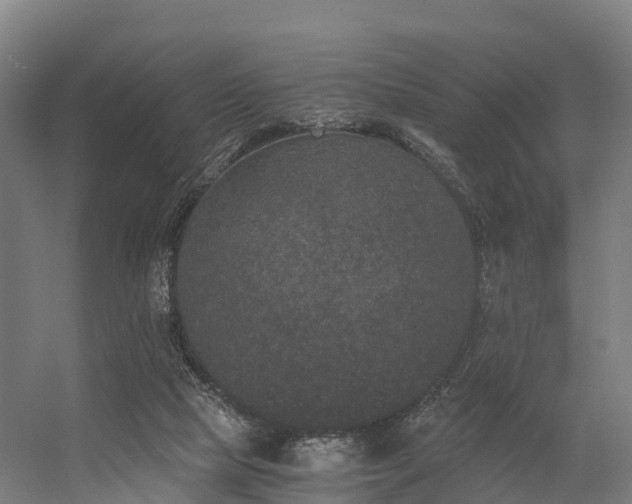 X0000056340065200509021706
