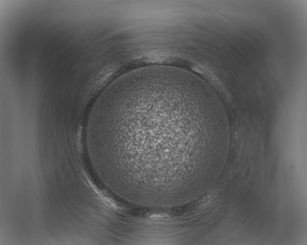 X0000056340066200509021706