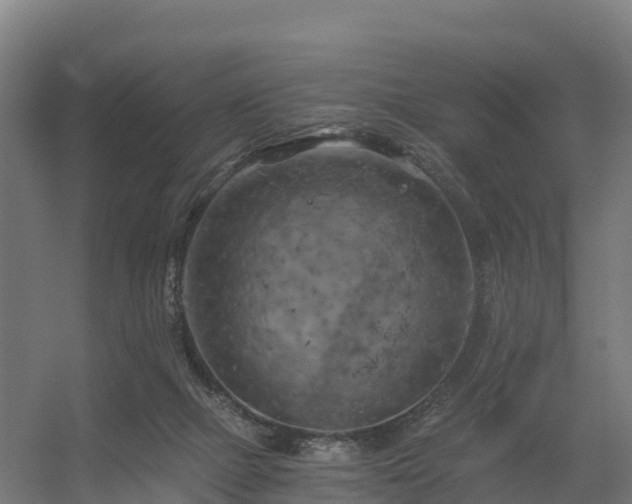 X0000056340073200509021706