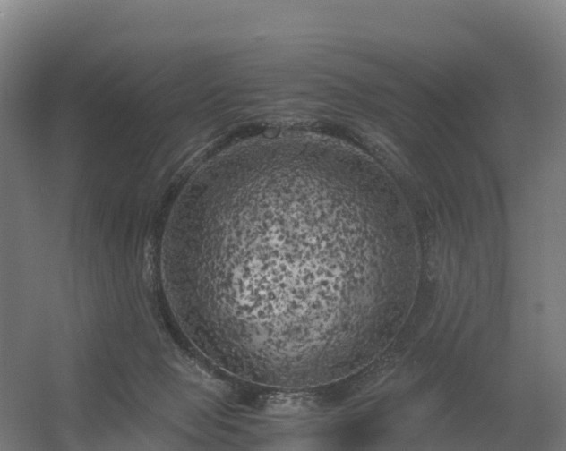 X0000056340077200509021706