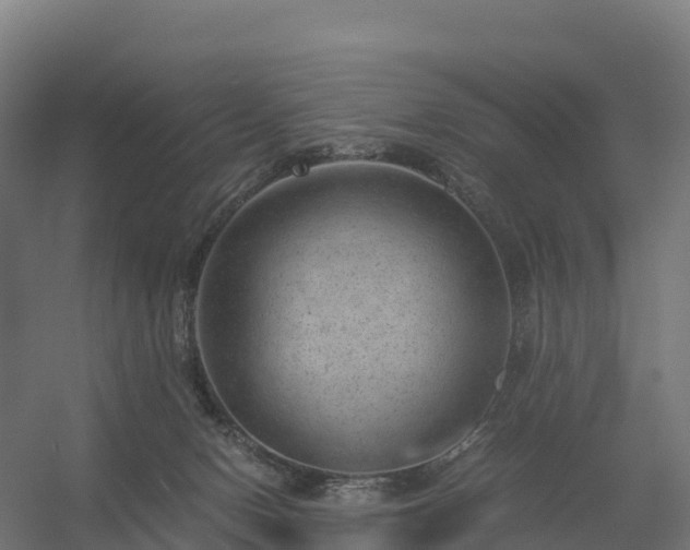 X0000056340078200509021707