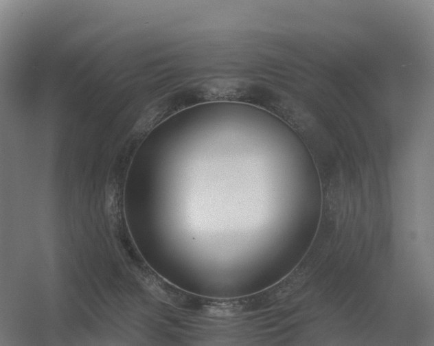 X0000056340079200509021707