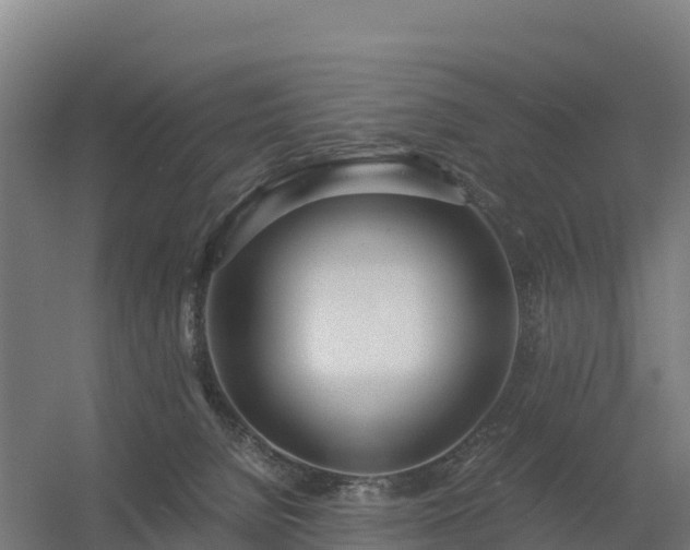 X0000056340080200509021707