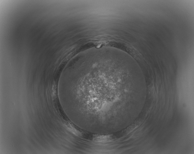 X0000056340081200509021707