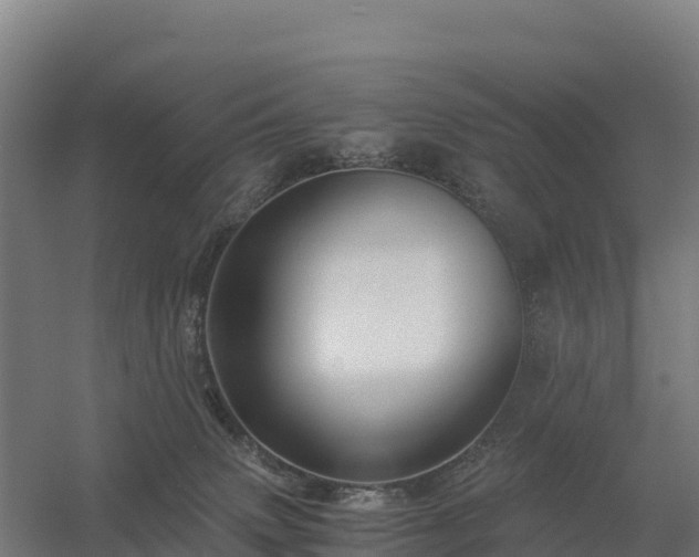 X0000056340083200509021707