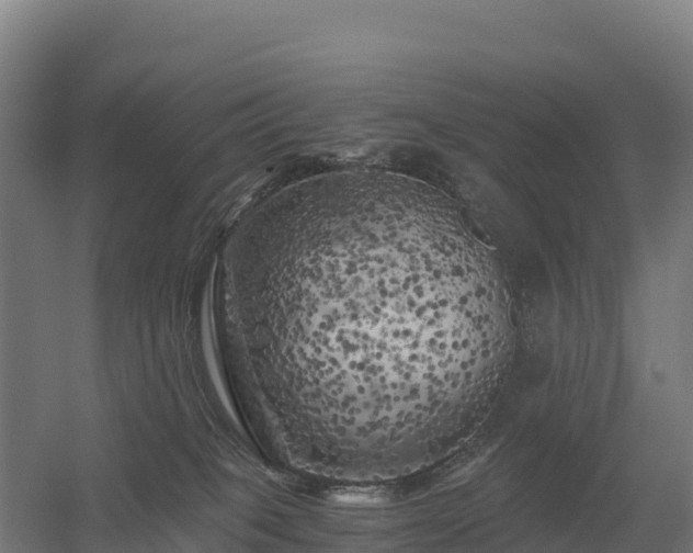 X0000056340085200509021707