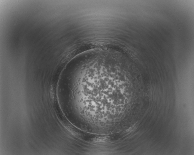 X0000056340086200509021707